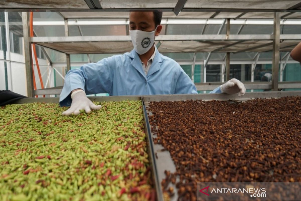 Pekalongan siap ekspor jamu ke mancanegara, di antaranya Tiongkok