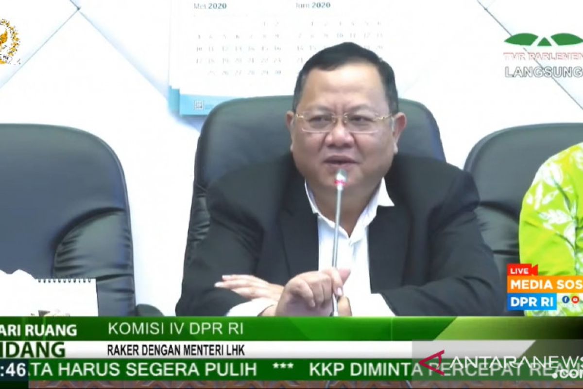 Komisi IV: Anggaran kecil picu pembalakan liar