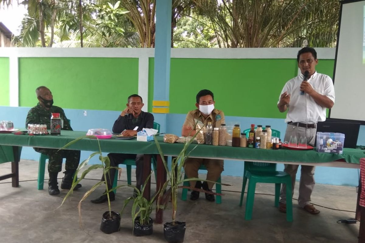 Pemerintah Kabupaten Bangka sediakan 100 hektare untuk tanaman sorgum