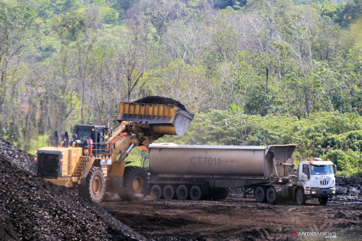 Harga Batubara Acuan Oktober naik 3,2 persen