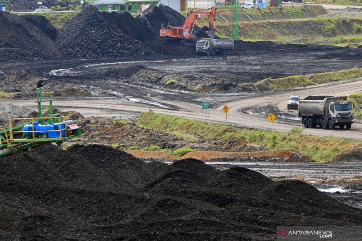 Cuan, harga batu bara acuan sentuh level tertinggi dalam 10 tahun terakhir