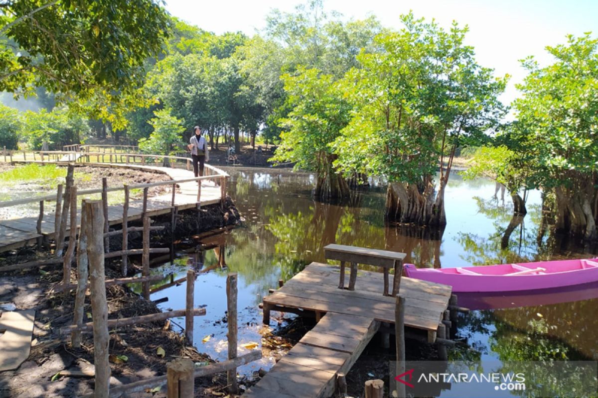 Pengelola wisata mangrove Bengkulu terapkan normal baru