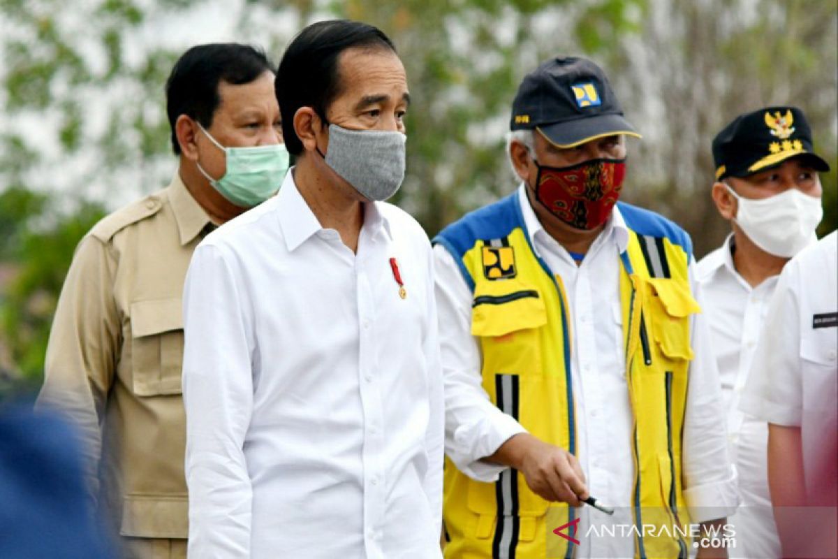 Presiden tinjau lahan di Kapuas bersama gubernur dan sejumlah menteri