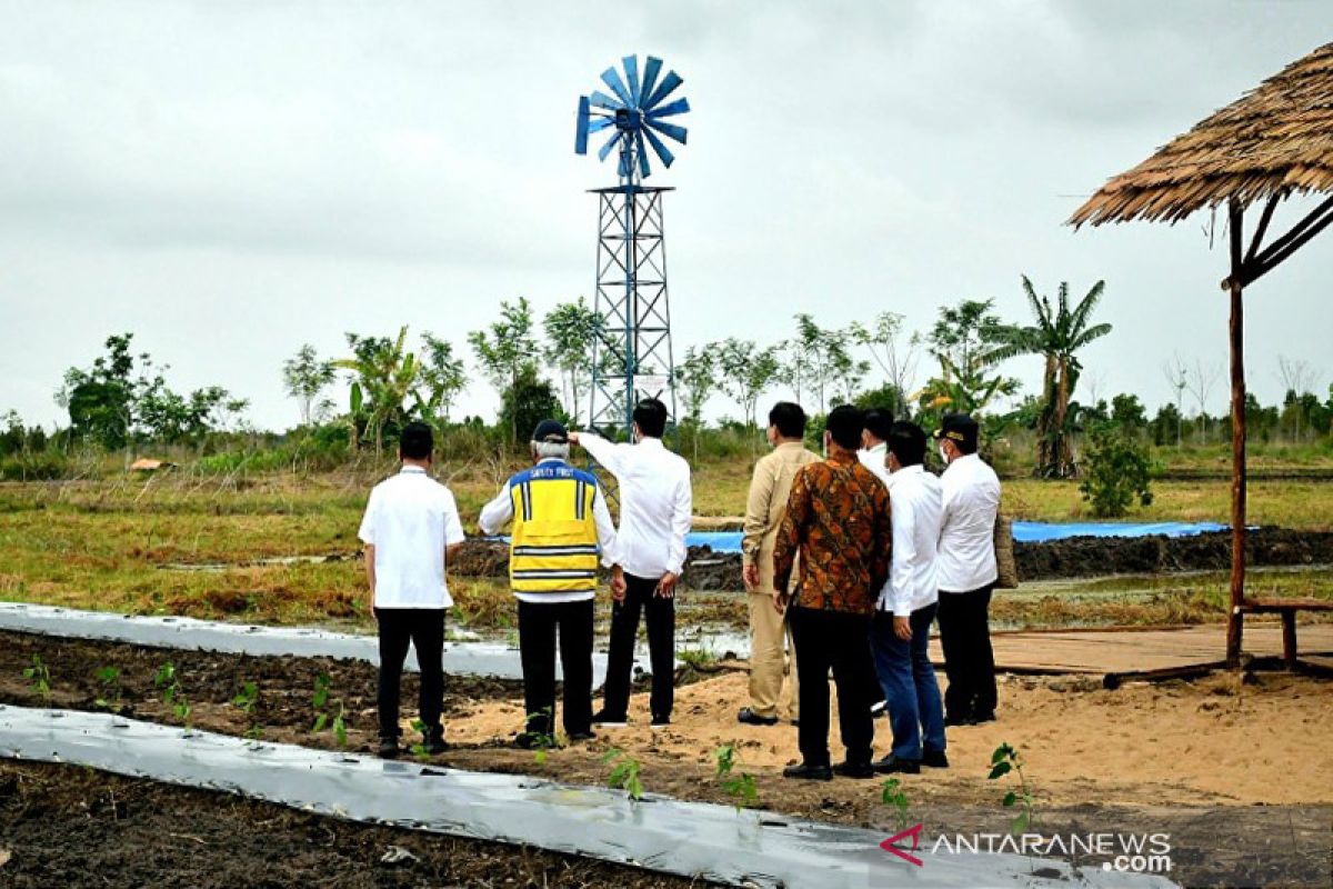 Presiden berharap model lumbung pangan Kalteng bisa jadi contoh tempat lain