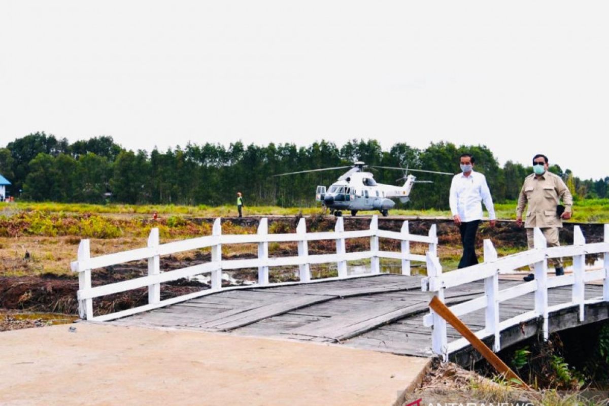 Presiden mendatangi lumbung pangan nasional di Kapuas Kalimantan Tengah