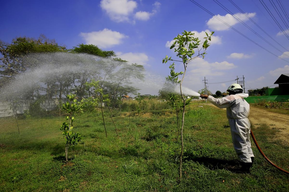 Pengunjung Taman Hutan Raya Surabaya wajib bermasker