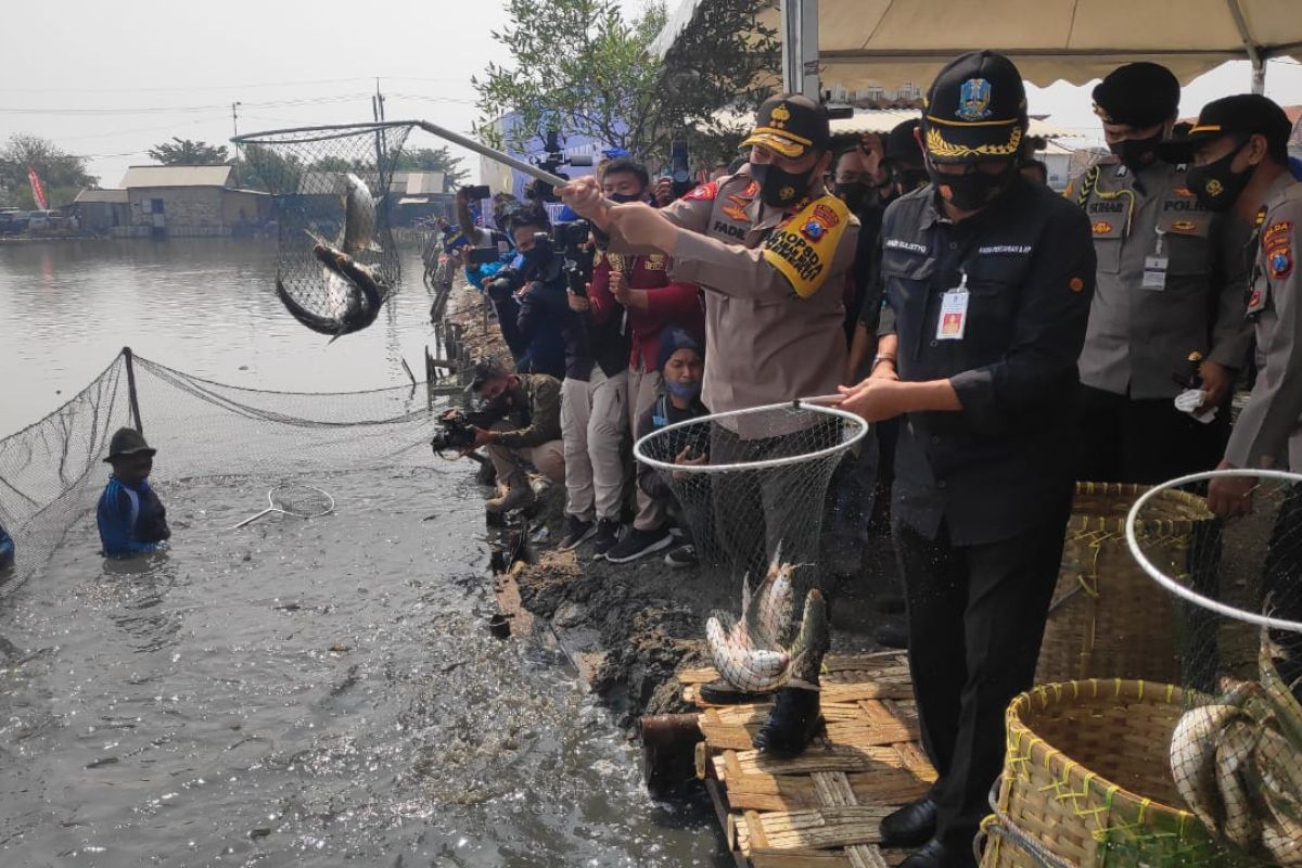 Kapolda: Ketahanan pangan bagian dari Kampung Tangguh COVID-19