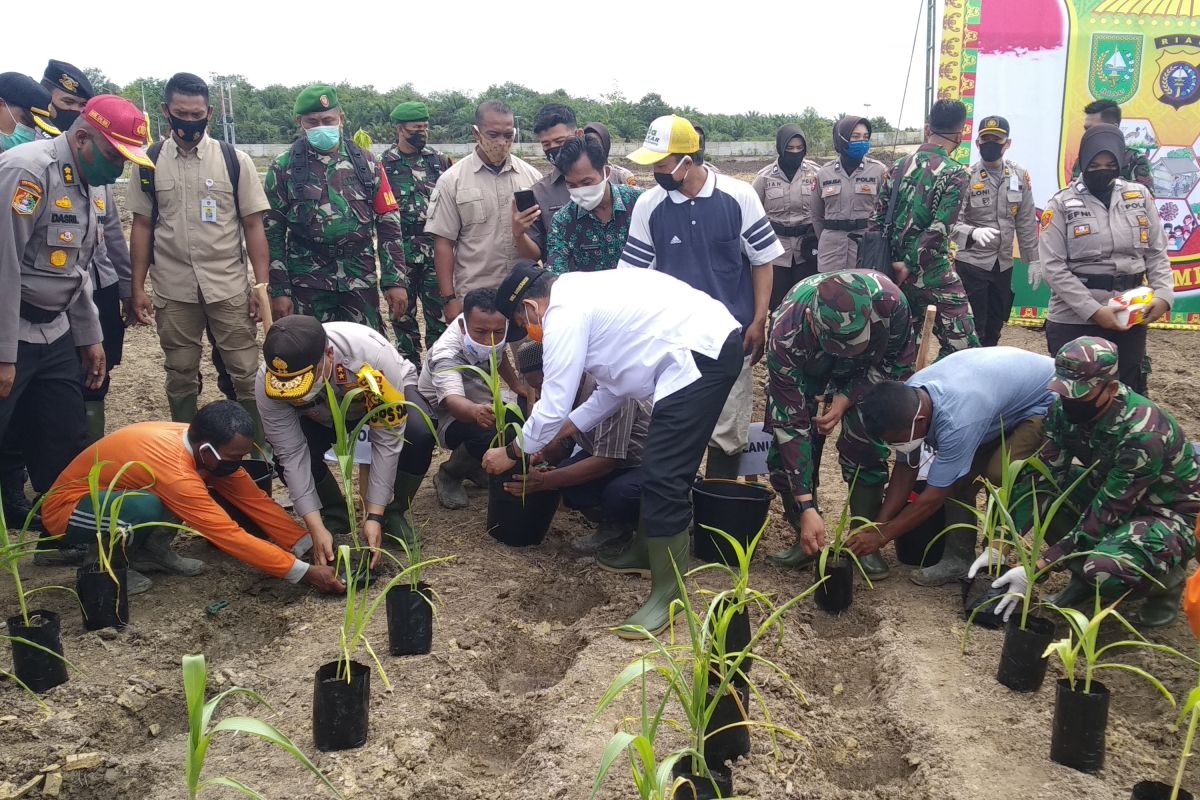 Jaga Kampung, gerakan mewujudkan ketahanan pangan