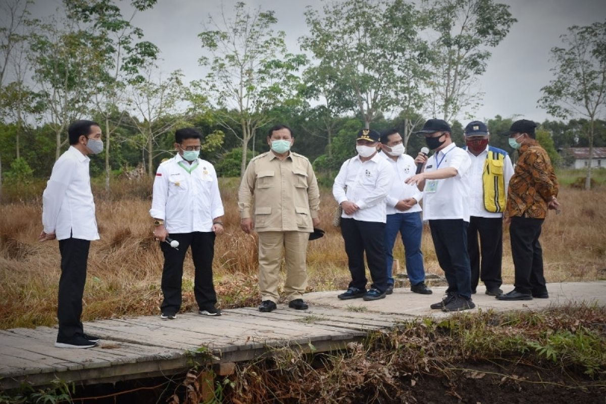 Program 'Food Estate' diharapkan tingkatkan kesejahteraan masyarakat lokal