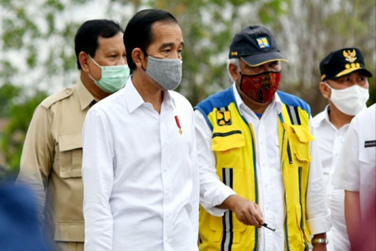 Presiden Jokowi tinjau lahan di Kapuas bersama gubernur dan sejumlah menteri