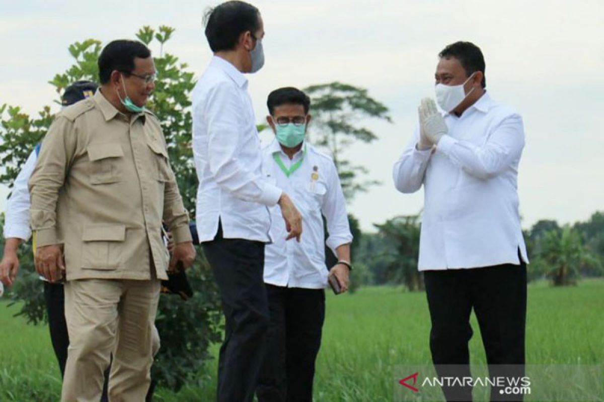 Mentan optimistis pembangunan lumbung pangan di Kalteng