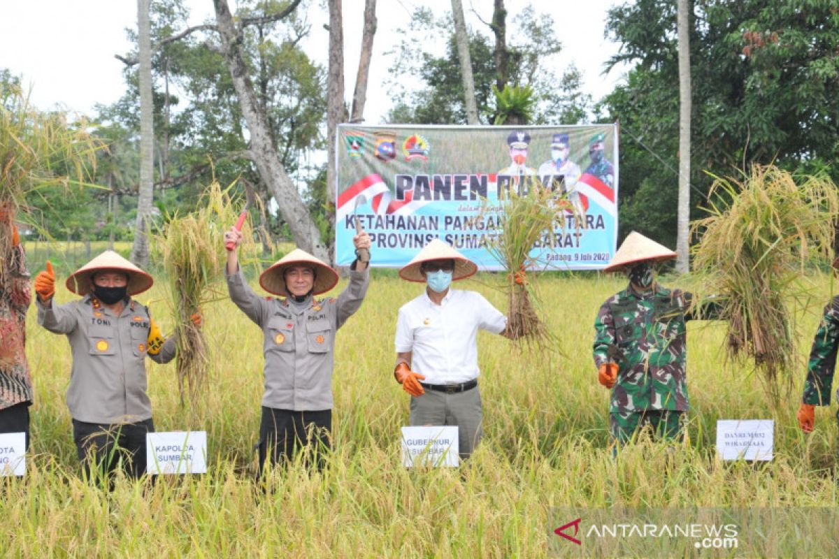 Panen raya Sungai Pisang, spirit memajukan daerah