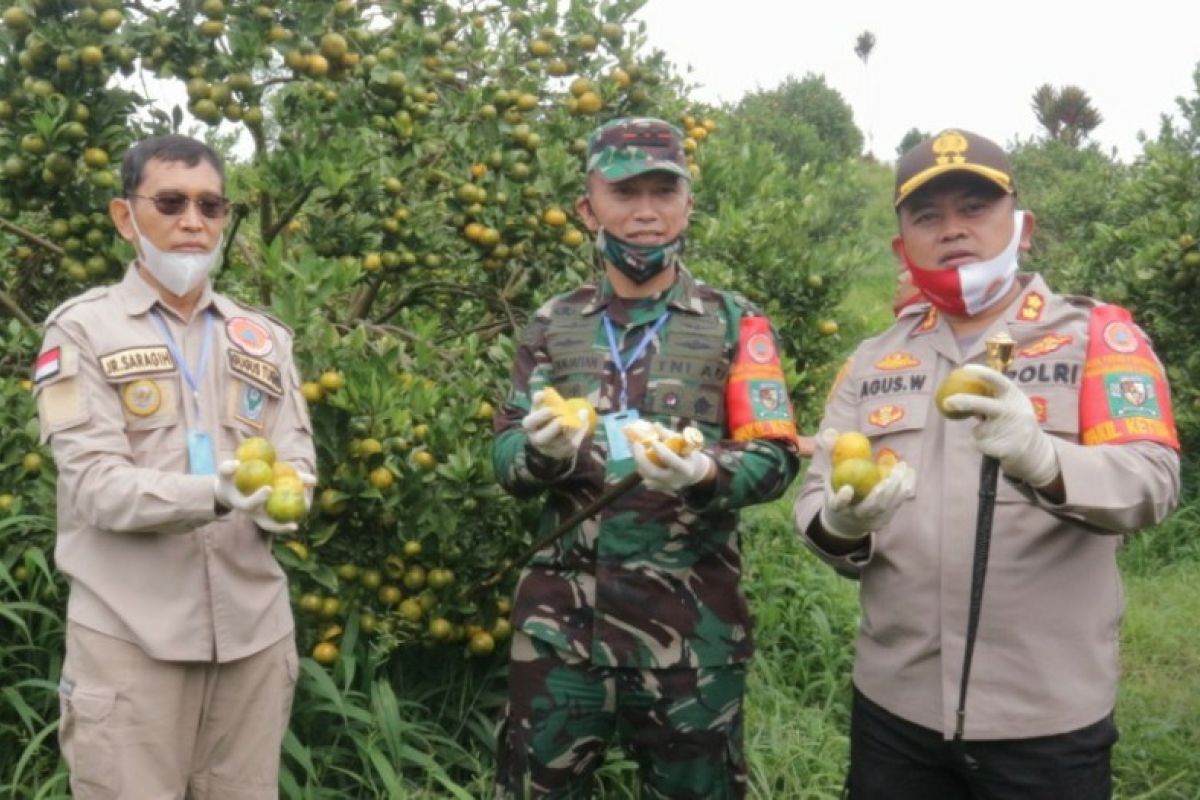 Polres Simalungun pesta Panen Raya Nusantara TNI-Polri di Cingkes