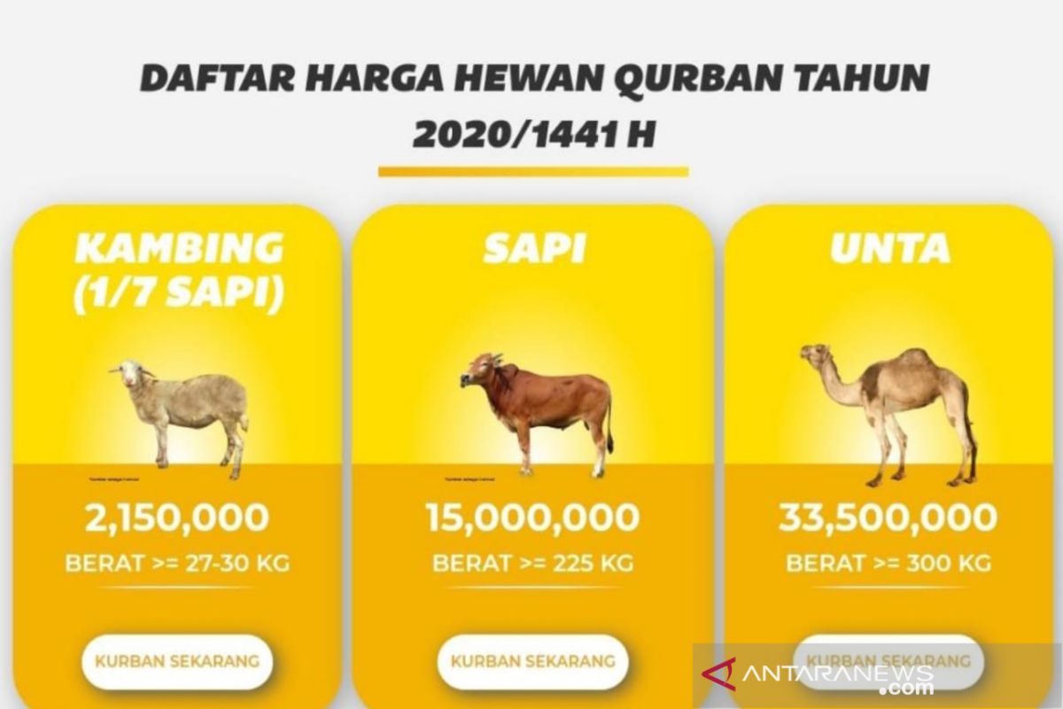 ACT Sumsel targetkan 200 ekor hewan kurban untuk warga kurang mampu