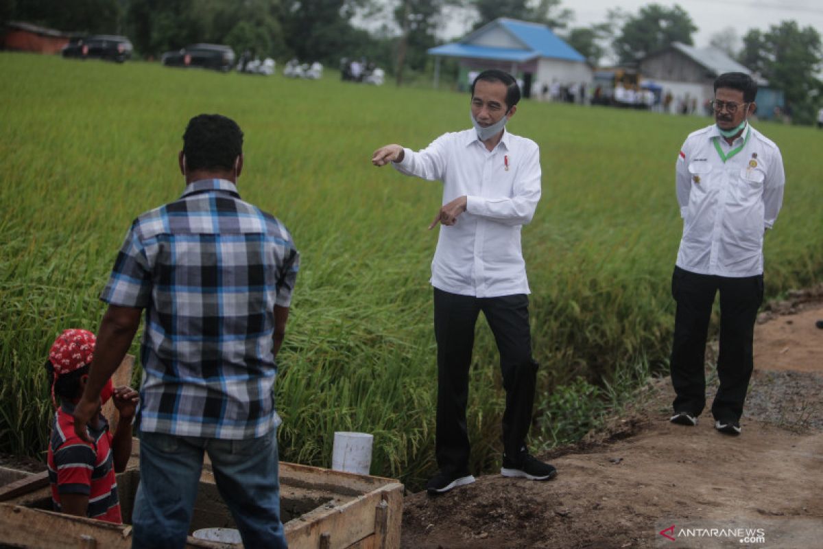 Presiden Jokowi: air melimpah di "food estate" Kalteng untuk budidaya ikan