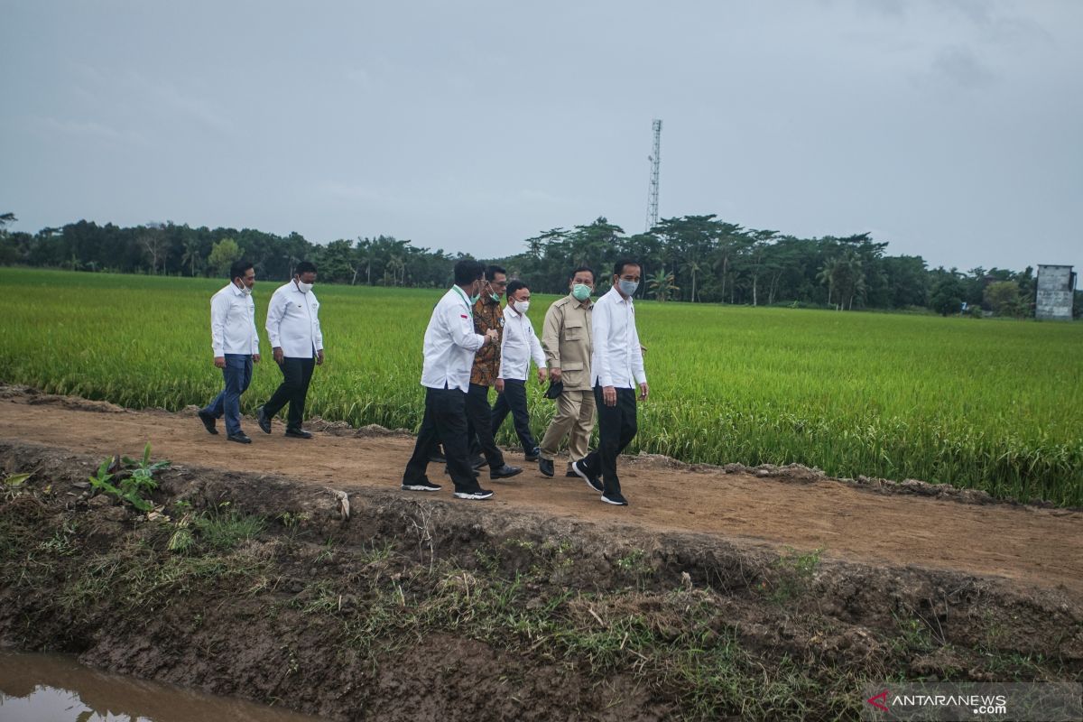 Modern tech-based farming to develop Central Kalimantan's food estate