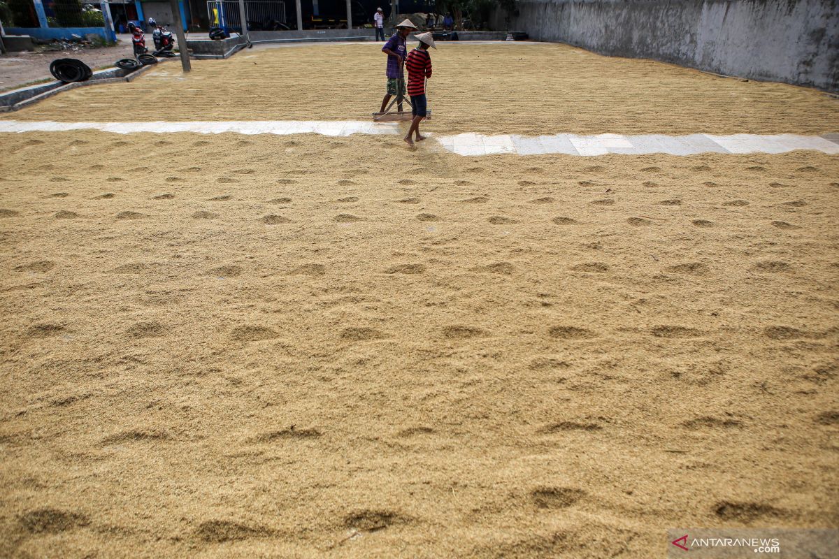 Pemkab Tangerang sediakan beras 1,09 juta ton selama pandemi COVID-19