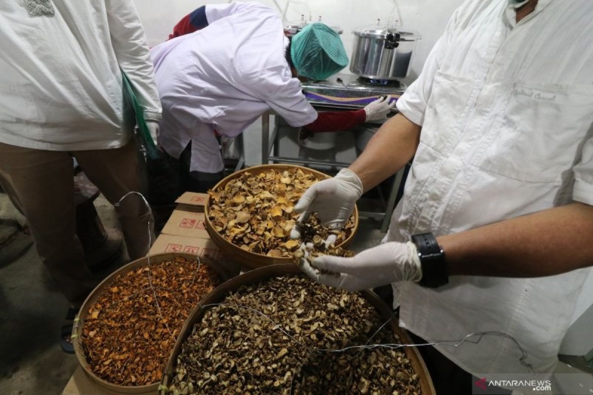 Indonesia dinilai punya peluang bagus garap herbal yang mulai diminati dunia