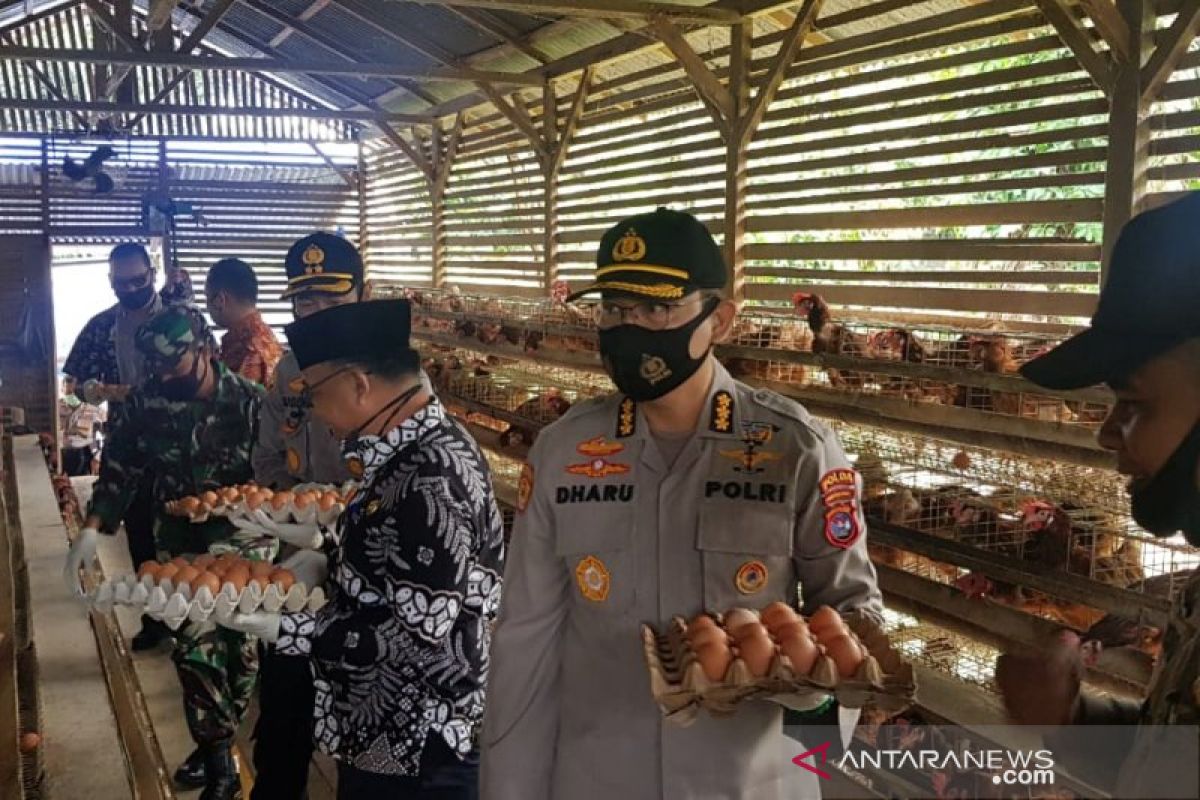 Selain petugas keamanan, Bhabinkamtibmas Kajai Pasaman Barat kembangkan ayam petelur