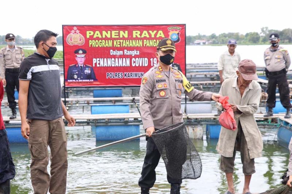 Polres Karimun panen 6.000 ekor lele untuk masyarakat