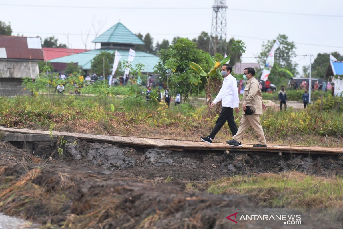 Presiden datangi lokasi pengembangan lumbung pangan baru di Kapuas