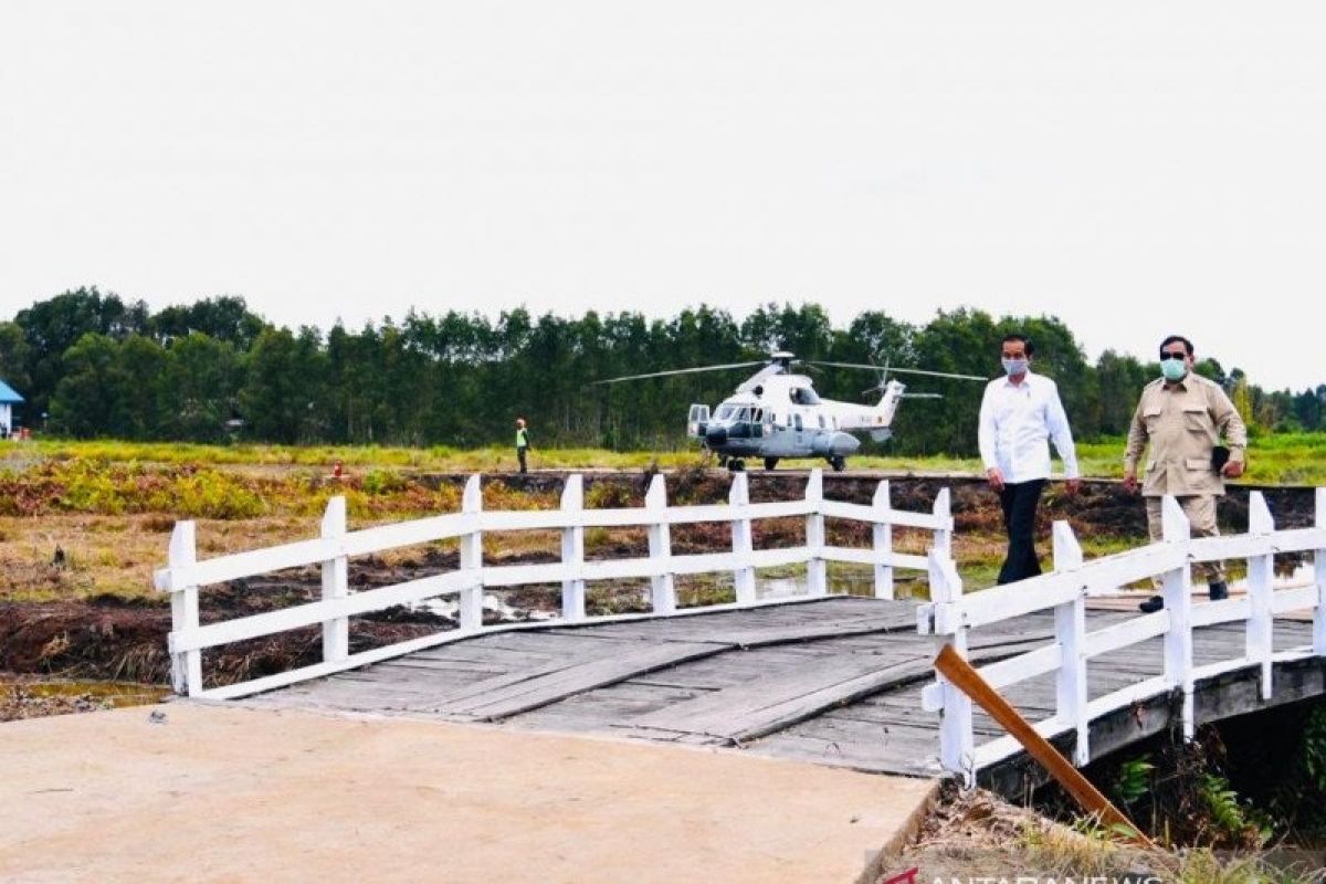 Presiden Joko Widodo datangi lokasi pengembangan lumbung pangan baru di Kapuas, Kalteng