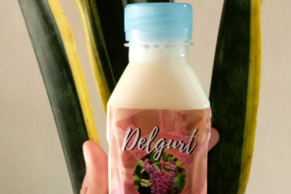 Mahasiswa UNS raih penghargaan inovasi yogurt