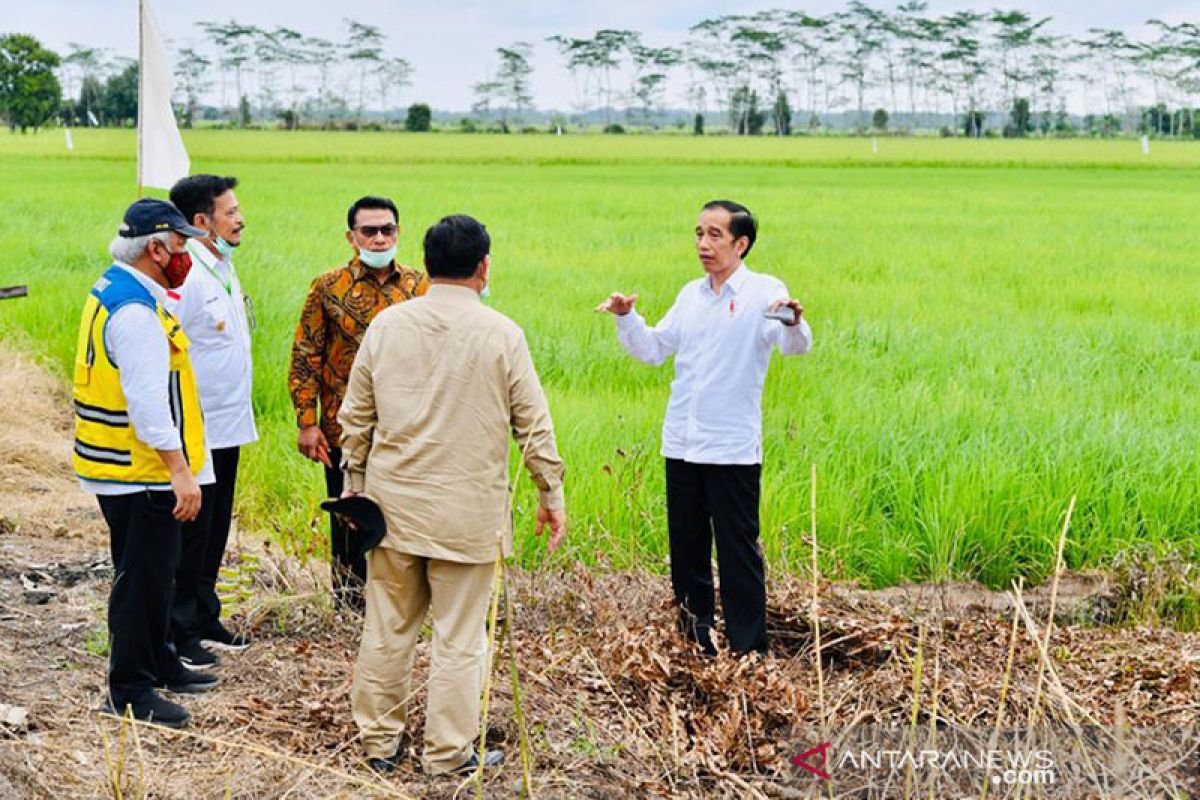 President calls to develop potential of Indonesian villages