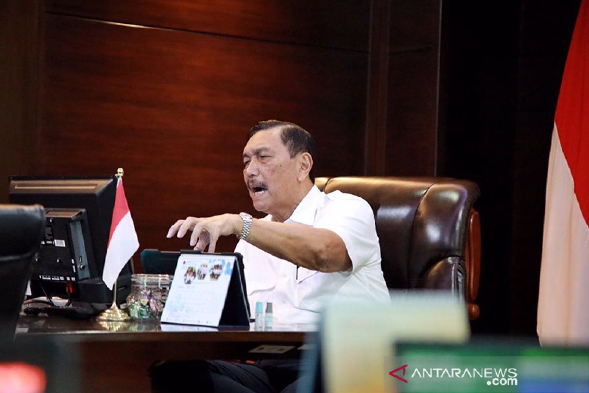 Luhut katakan Indonesia sudah mampu buat paracetamol sendiri