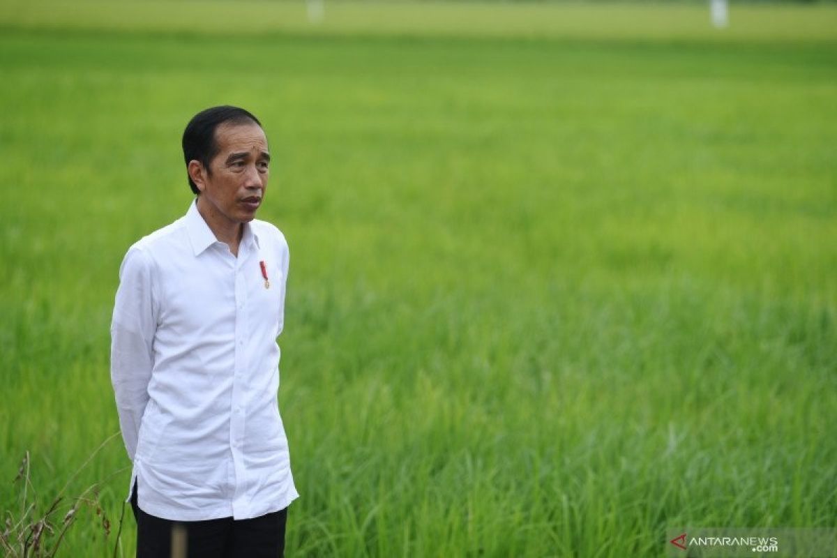 Menyimak arahan Presiden Jokowi kepada kepala daerah
