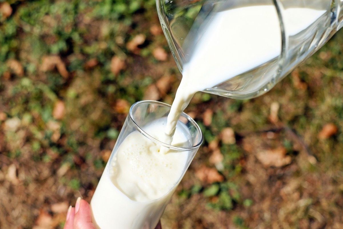 Konsumsi susu, telur dan olahraga bisa jadi pilihan di normal baru