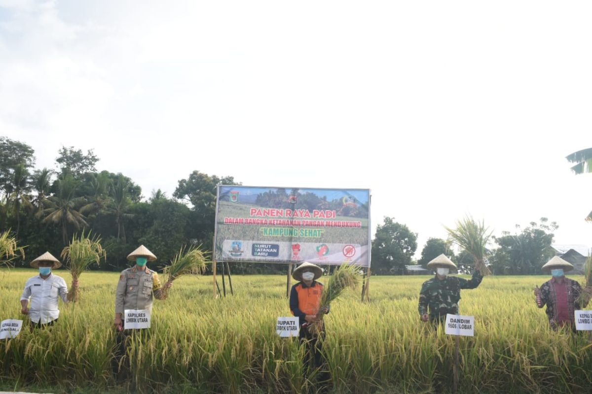 Dukung kampung sehat di Lombok Utara, Sekda dan Forkopimda panen raya padi