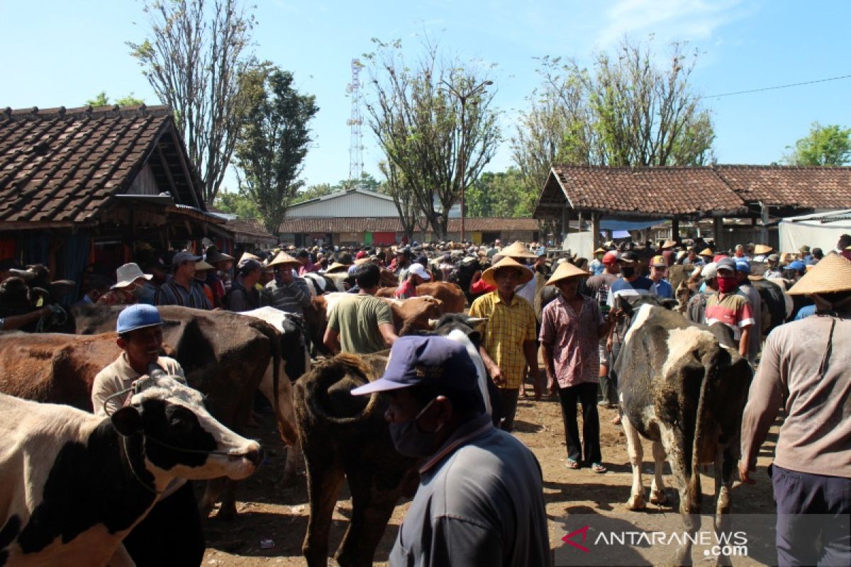 Pasokan sapi di Pasar Hewan Boyolali turun jelang Idul Adha