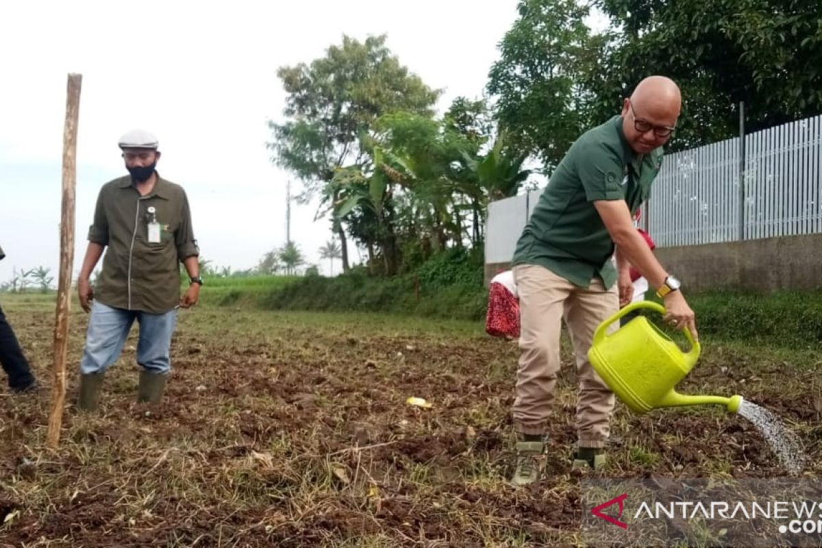 Kota Sukabumi siap kembangkan pangan alternatif non-beras