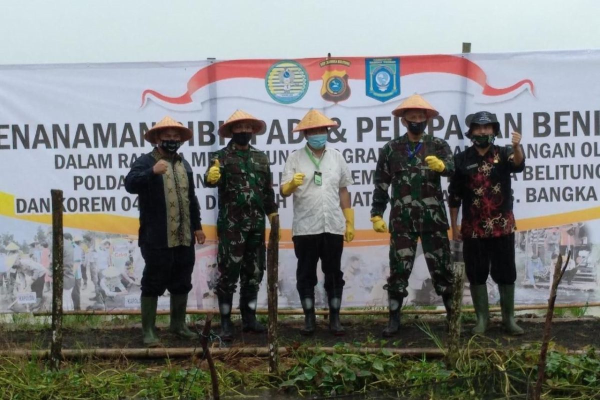 Pemkab Bangka Tengah akan siapkan lahan untuk petani milenial