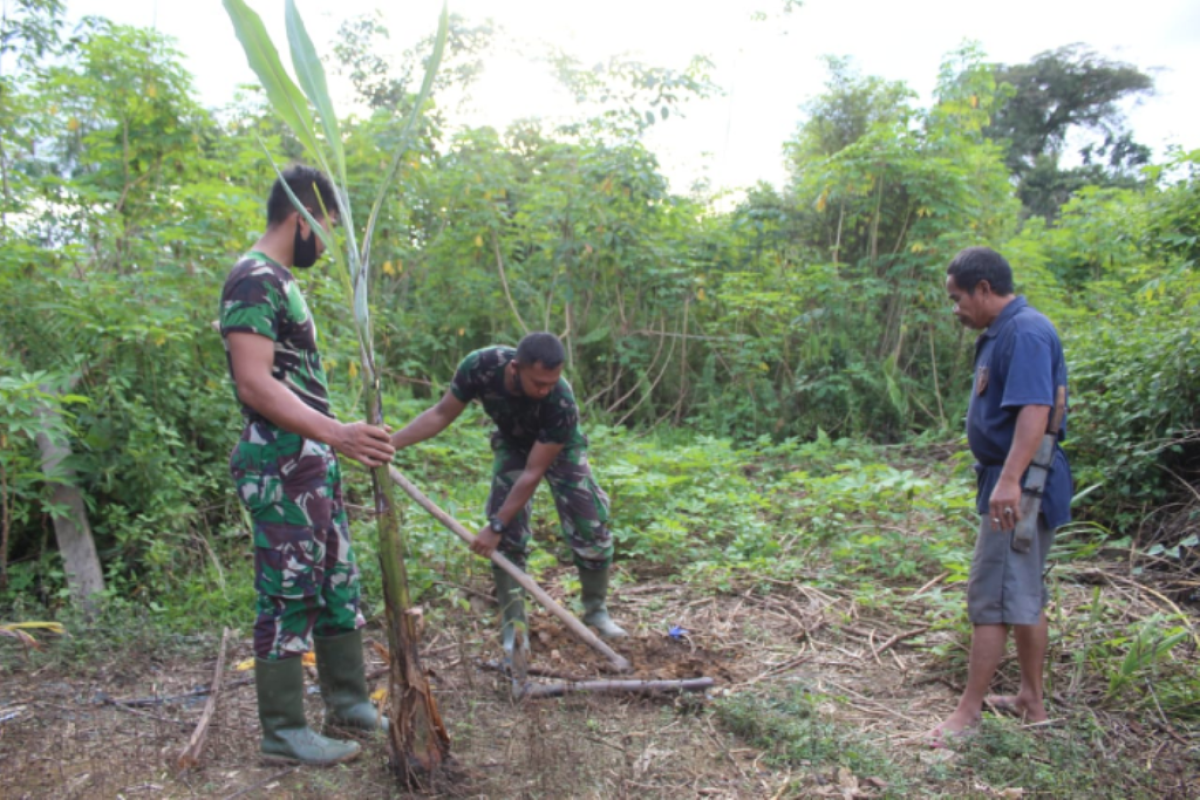 Anggota TMMD 108 Kodim 1203/Ktp bantu warga menanam pohon pisang