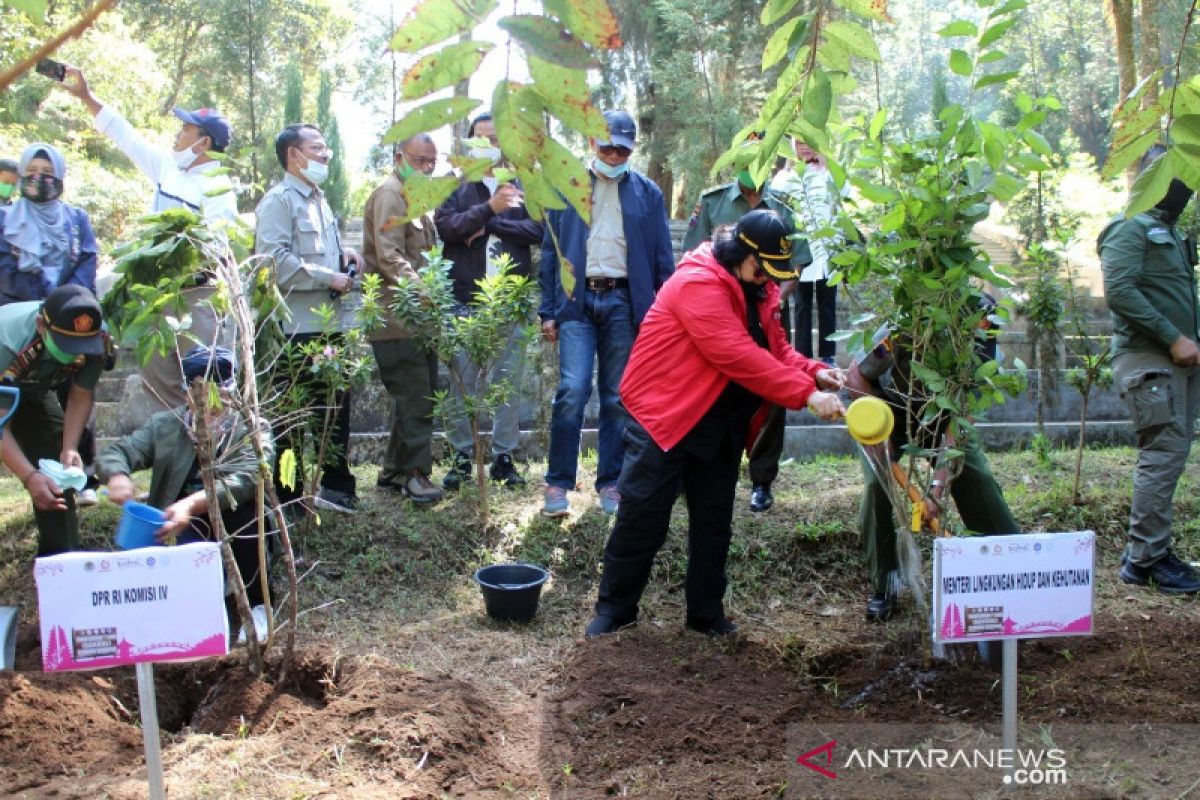 Menteri LHK Siti Nurbaya dorong perhutanan sosial untuk kesejahteraan masyarakat