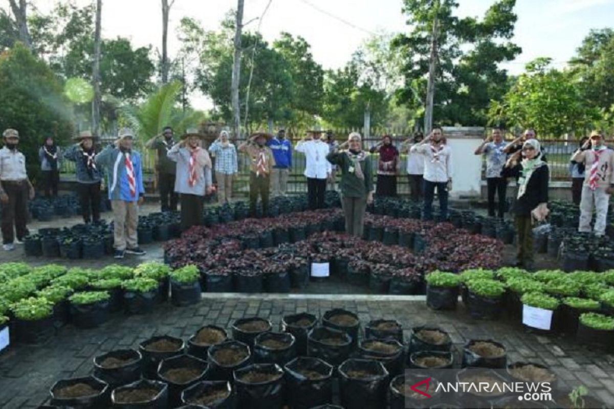 Bangka Belitung bangun kebun sayur organik percontohan