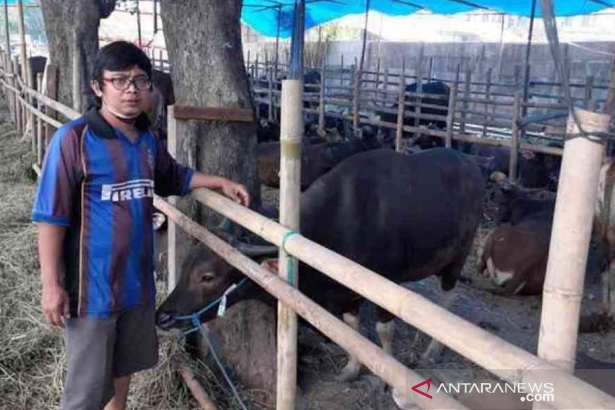 Pemkot Bekasi siapkan aturan pemotongan hewan kurban di masa pandemi