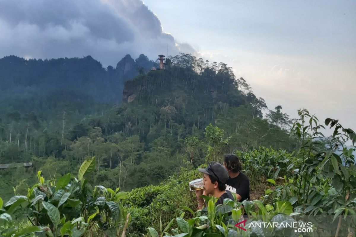 Seluruh objek wisata di Kulon Progo siap dibuka untuk umum