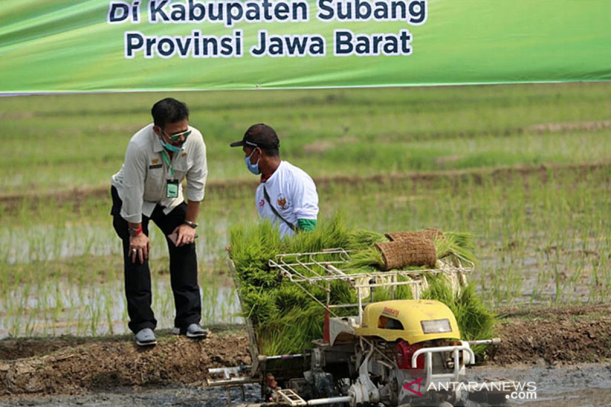 Pastikan percepatan tanam, Mentan serukan jajarannya turun ke lapangan