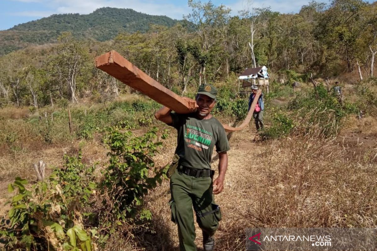 Polhut NTB memburu cukong perambahan Hutan Ampang Kampaja