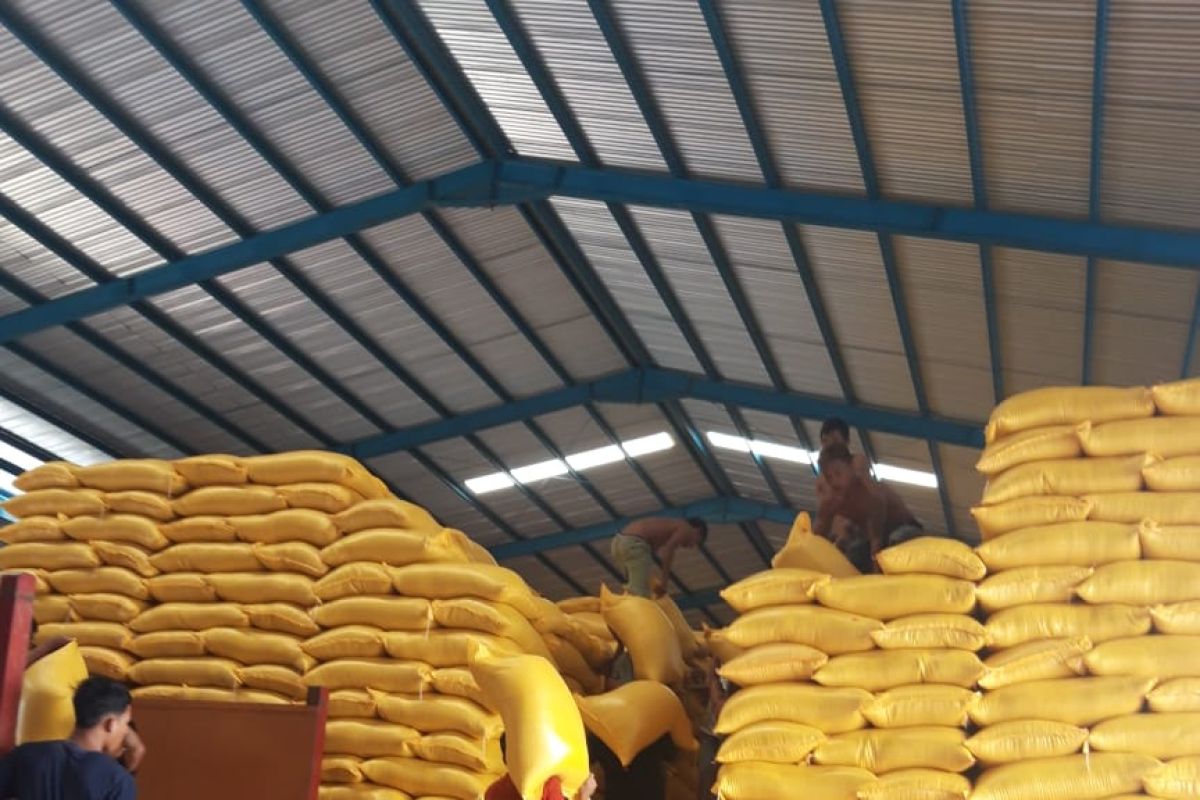 Bulog Sulawesi Tenggara serap 17.250 ton beras petani