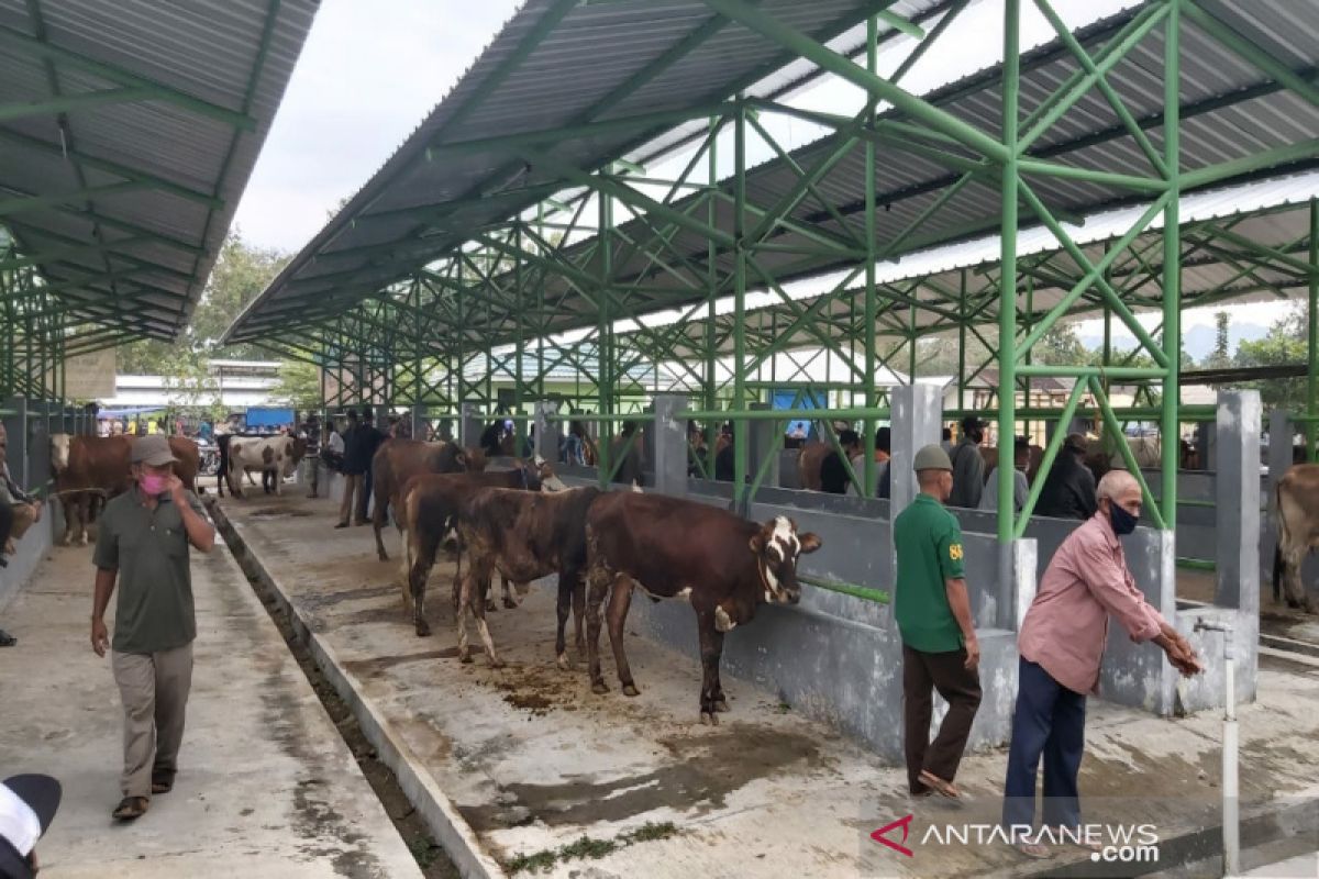 Pedagang ternak di Kulon Progo tak lengkapi hewan kurban dengan SKSH