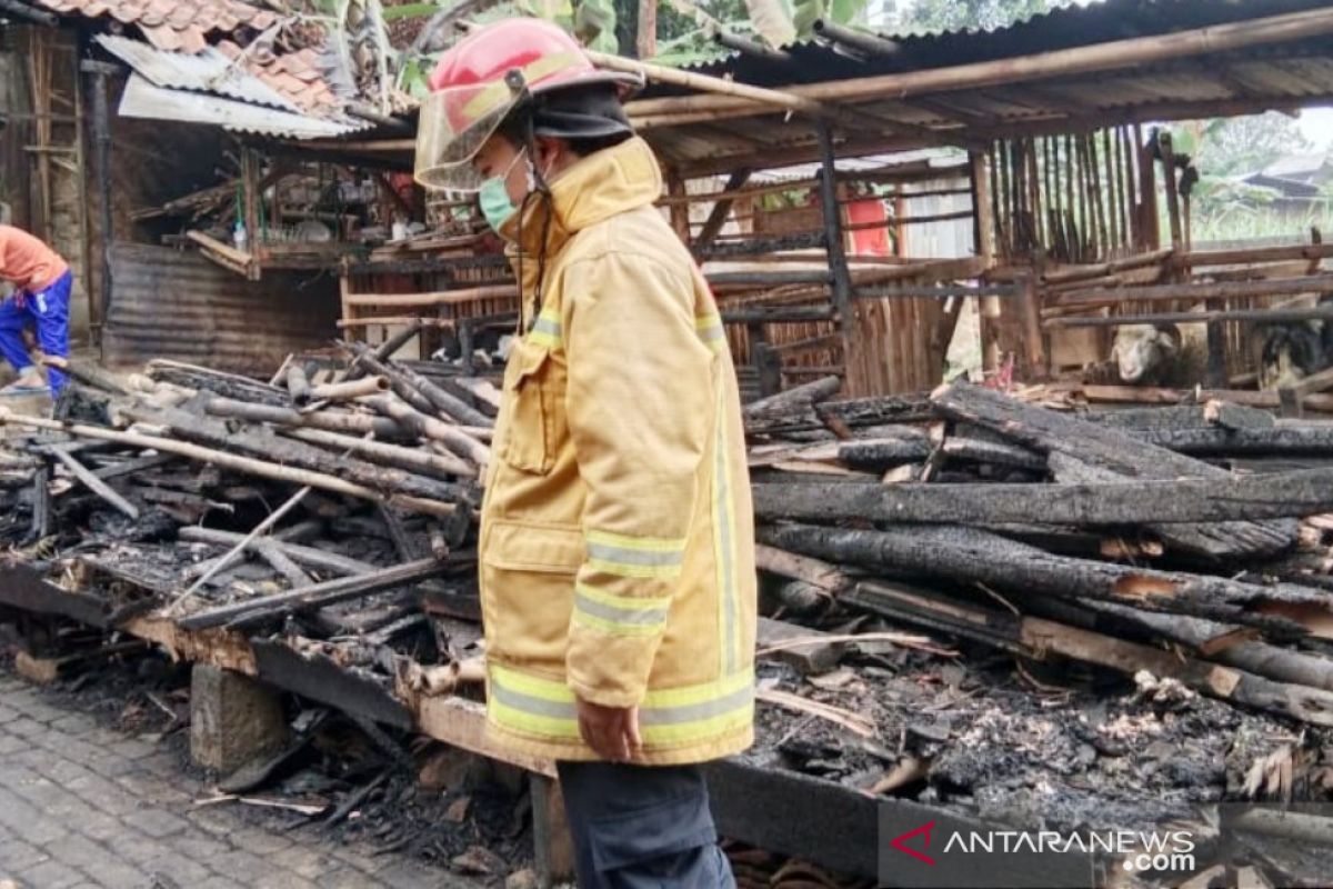 Pondok pesantren Al Golibiah di Puncak Bogor ludes terbakar