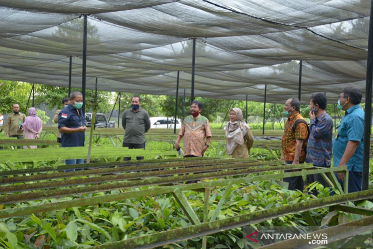 KLHK salurkan 50.000 bibit pohon untuk penghijauan Unilak, begini penjelasannya