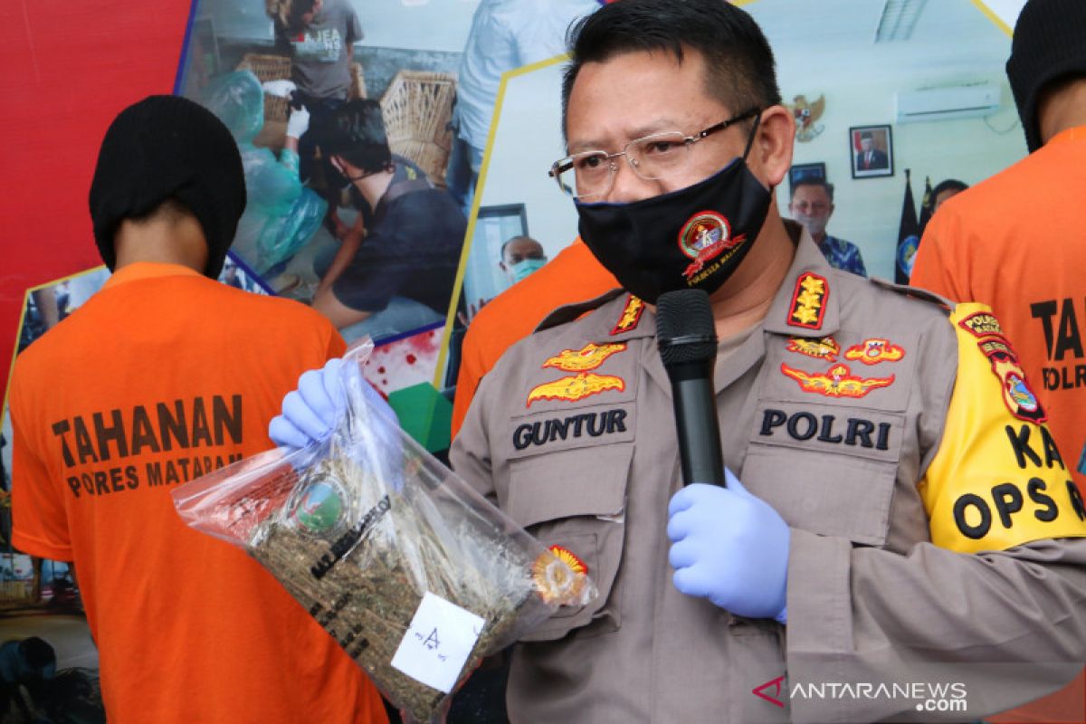 6,68 kilogram ganja disita Polresta Mataram dari jaringan lapas