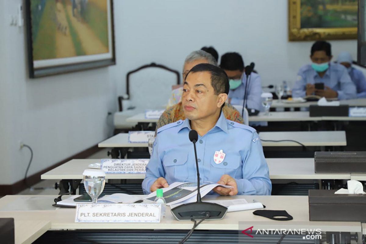 KKP dorong penyerapan anggaran bantu pemulihan ekonomi nasional