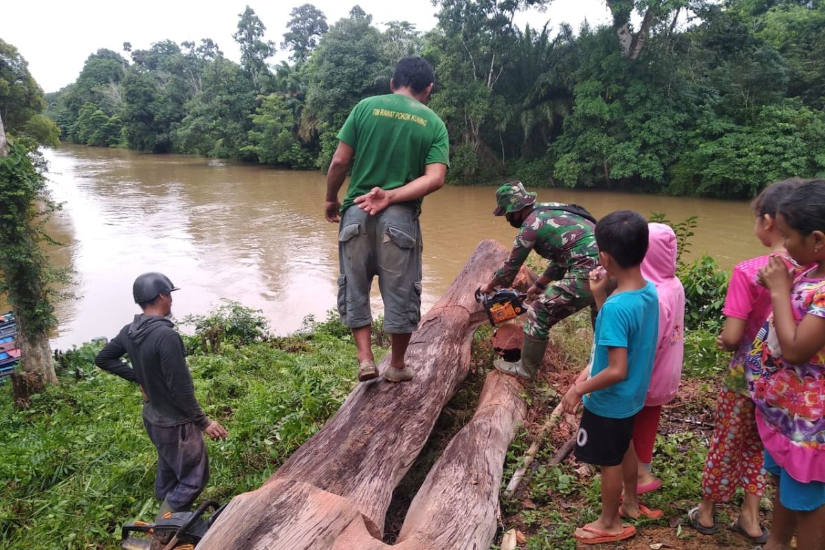 Praka Firmansyah potong pohon tumbang mengunakan chainsaw