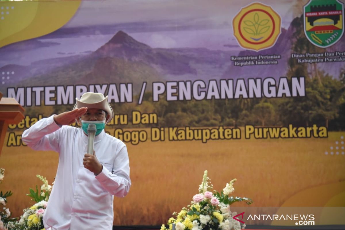 Dedi Mulyadi inisiasi dibukanya persawahan dan perkebunan baru seluas ribuan hektare